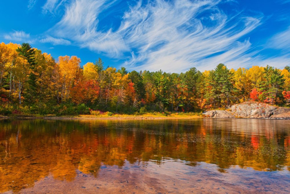 Picture of CANADA-ONTARIO-CHUTES PROVINCIAL PARK REFLECTION ON THE AUX SABLES RIVER IN AUTUMN