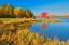 Picture of CANADA-ONTARIO-WORTHINGTON RED MAPLE TREE REFLECTS IN ST POITHIER LAKE