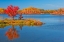 Picture of CANADA-ONTARIO-WORTHINGTON RED MAPLE TREE REFLECTS IN ST POITHIER LAKE