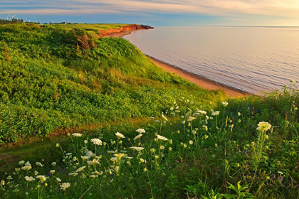 Picture of CANADA-PRINCE EDWARD ISLAND-CAMPBELTON RED SAND AND BLUFFS ALONG NORTHUMBERLAND STRAIT