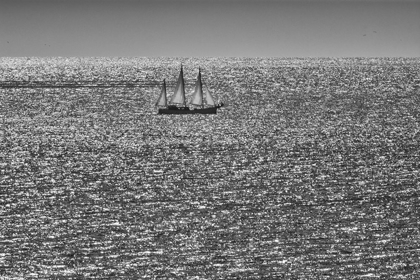 Picture of CANADA-QUEBEC-LANSE-PLEUREUSE SAILBOAT ON GULF OF ST LAWRENCE