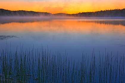 Picture of CANADA-QUEBEC-CHIBOUGAMAU FOG OVER LAC SAUVAGE AT DAWN