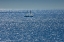 Picture of CANADA-QUEBEC-LANSE-PLEUREUSE SAILBOAT ON GULF OF ST LAWRENCE