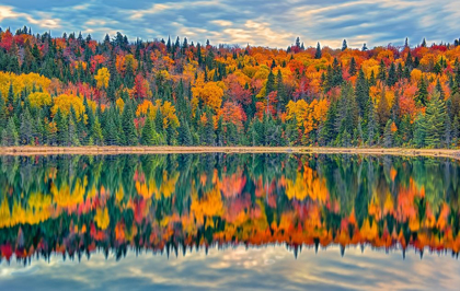 Picture of CANADA-QUEBEC-LA MAURICIE NATIONAL PARK AUTUMN COLORS REFLECTED IN LAC MODENE