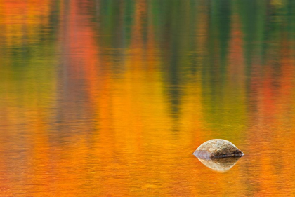 Picture of CANADA-QUEBEC-LA MAURICIE NATIONAL PARK ROCK AND AUTUMN COLORS REFLECTED IN LAC WAPIZAGONKE