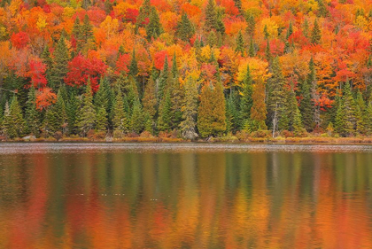 Picture of CANADA-QUEBEC-LA MAURICIE NATIONAL PARK AUTUMN COLORS REFLECTED IN LAC À SAM
