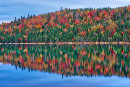 Picture of CANADA-QUEBEC-LA MAURICIE NATIONAL PARK AUTUMN COLORS REFLECTED IN LAC MODENE