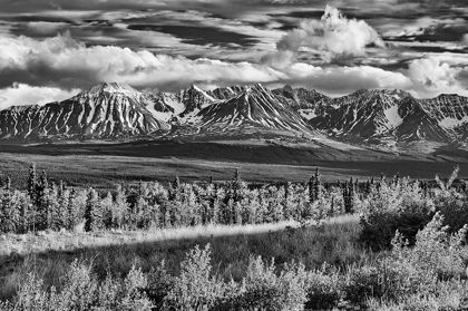 Picture of CANADA-YUKON-HAINES JUNCTION ST ELIAS MOUNTAINS LANDSCAPE