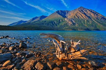 Picture of CANADA-YUKON-KLUANE NATIONAL PARK ST ELIAS MOUNTAINS AND DRIFTWOOD ON SHORE OF KATHLEEN LAKE