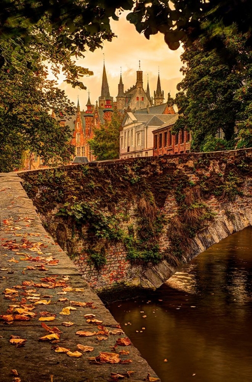 Picture of FALL LEAF STREWN BRIDGE OVER A CANAL IN BRUGES-BELGIUM