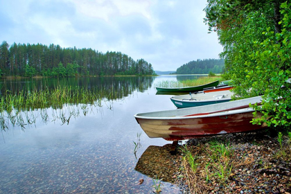 Picture of FINLANDIA-SAVONLINNA-LAKE BANK AND VEGETATION