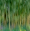Picture of FRANCE-GIVERNY ABSTRACT OF BAMBOO FOREST IN MONETS GARDEN 