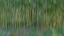 Picture of FRANCE-GIVERNY ABSTRACT OF BAMBOO FOREST IN MONETS GARDEN 
