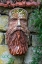 Picture of FRANCE-GIVERNY STONE FACE HANGING ON A STONE WALL 