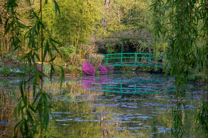 Picture of FRANCE-GIVERNY-MONETS GARDEN SUNRISE VIEW OF ICONIC BRIDGE AND LILY POND 