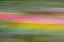 Picture of FRANCE-GIVERNY ABSTRACT OF FLOWERS IN MONETS GARDEN 
