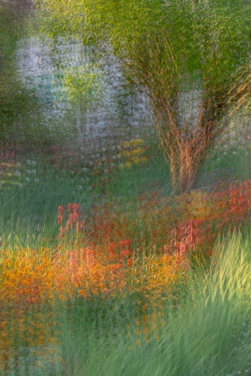 Picture of FRANCE-GIVERNY IMPRESSION OF FLOWERS IN MONETS GARDEN 