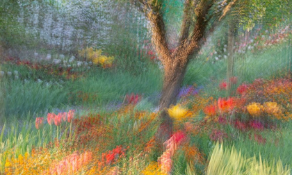 Picture of FRANCE-GIVERNY IMPRESSION OF FLOWERS IN MONETS GARDEN 