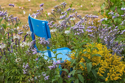 Picture of FRANCE-HAUTE-VIENNE-LIMOGES FLOWERS AND A CHAIR IN A GARDEN IN LIMOGES