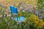 Picture of FRANCE-HAUTE-VIENNE-LIMOGES FLOWERS AND A CHAIR IN A GARDEN IN LIMOGES