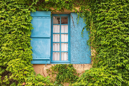 Picture of FRANCE-DORDOGNE-HAUTEFORT A BLUE SHUTTERED WINDOW IN AN IVY COVERED WALL IN THE TOWN OF HAUTEFORT