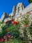 Picture of MONT SAINT-MICHEL IN NORMANDY FRANCE