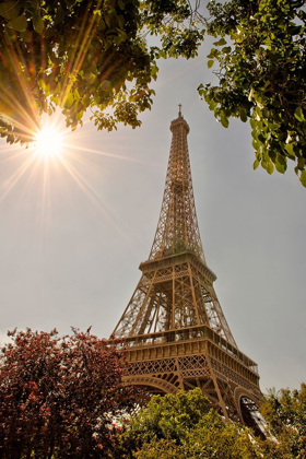 Picture of EIFFEL TOWER FRAMED BY TREES AND SUNBURST IN PARIS-FRANCE