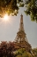 Picture of EIFFEL TOWER FRAMED BY TREES AND SUNBURST IN PARIS-FRANCE