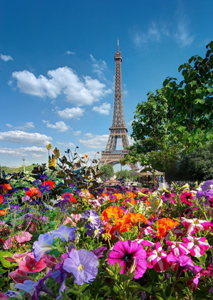 Picture of FLOWERS AND EIFFEL TOWER IN PARIS-FRANCE