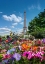 Picture of FLOWERS AND EIFFEL TOWER IN PARIS-FRANCE