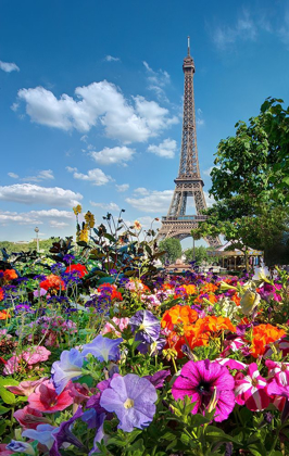 Picture of FALL AND EIFFEL TOWER IN PARIS-FRANCE