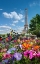 Picture of FALL AND EIFFEL TOWER IN PARIS-FRANCE