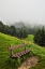 Picture of GERMANY-BAVARIA-BERCHTESGADEN-EARLY MORNING FOG