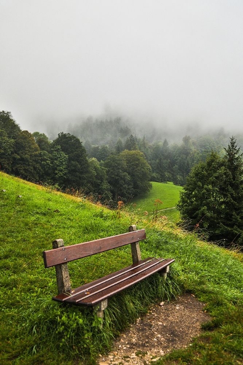 Picture of GERMANY-BAVARIA-BERCHTESGADEN-EARLY MORNING FOG