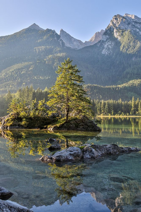 Picture of GERMANY-BAVARIA-RAMSAU BEI BERCHTESGADEN-LAKE HINTERSEE IN MORNING LIGHT