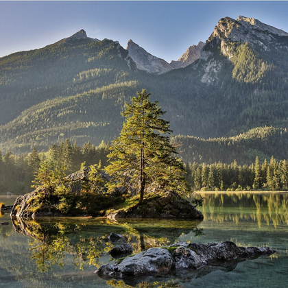 Picture of GERMANY-BAVARIA-RAMSAU BEI BERCHTESGADEN-LAKE HINTERSEE IN MORNING LIGHT