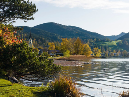 Picture of LAKE AND VILLAGE SCHLIERSEE IN THE BAVARIAN ALPS-BAVARIA-GERMANY