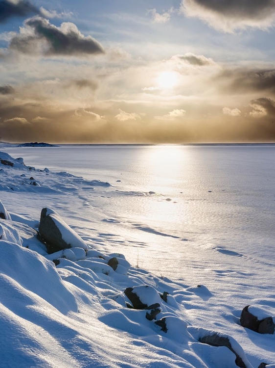 Picture of LANDSCAPE IN THE EASTERN FJORDS OF ICELAND BETWEEN HOFN AND DJUPIVOGUR ICELAND