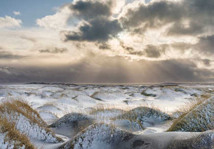 Picture of COASTAL LANDSCAPE WITH DUNES AT ICONIC STOKKSNES DURING WINTER AND STORMY CONDITIONS ICELAND