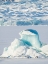 Picture of GLACIER FJALLSJOEKULL AND FROZEN GLACIAL LAKE FJALLSARLON IN VATNAJOKULL NATIONAL PARK
