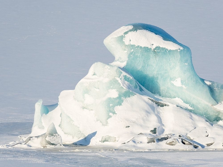 Picture of GLACIER FJALLSJOEKULL AND FROZEN GLACIAL LAKE FJALLSARLON IN VATNAJOKULL NATIONAL PARK