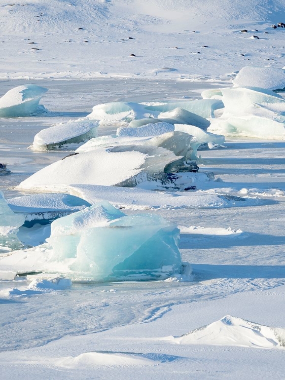 Picture of FROZEN GLACIAL LAKE FJALLSARLON IN VATNAJOKULL NATIONAL PARK DURING WINTER ICELAND