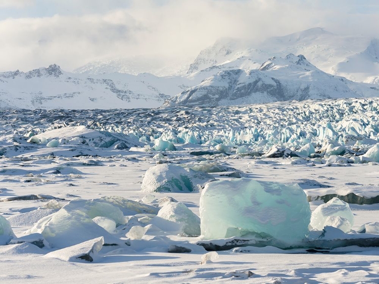 Picture of NORTHERN SHORE OF GLACIAL LAGOON JOKULSARLON WITH GLACIER BREIDAMERKURJOKULL