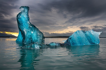 Picture of ICEBERGS FLOAT AT WILL IN JOKULSARLON LAGOON-ICELAND-HEADED FOR THE NORTH ATLANTIC