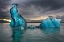 Picture of ICEBERGS FLOAT AT WILL IN JOKULSARLON LAGOON-ICELAND-HEADED FOR THE NORTH ATLANTIC