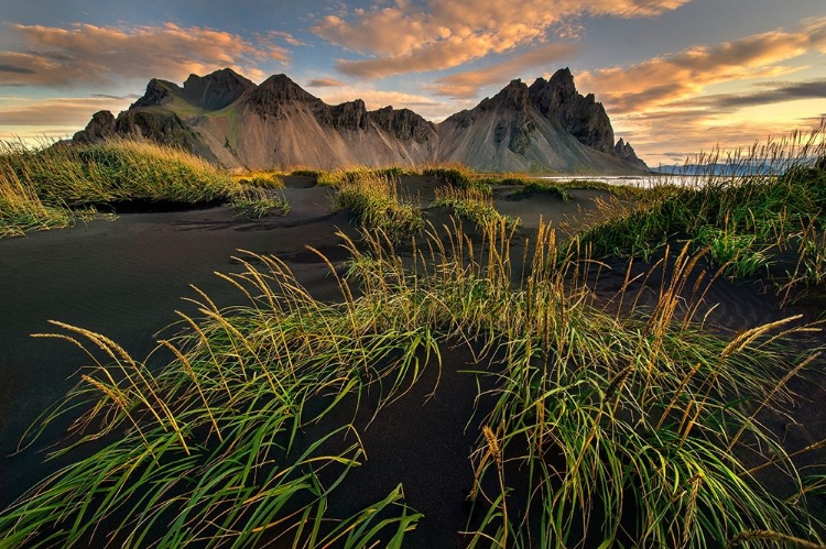 Picture of VESTRAHORN BEACH NEAR HOFN IN THE SOUTHEAST OF ICELAND