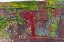 Picture of RED VOLCANIC SOIL GREEN MOSS KERIO VOLCANO CRATER BLUE LAKE GOLDEN FALLS GOLDEN CIRCLE