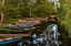 Picture of OLD WOODEN BOATS IN KILLARNEY NATIONAL PARK-IRELAND