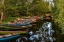 Picture of OLD WOODEN BOATS IN KILLARNEY NATIONAL PARK-IRELAND