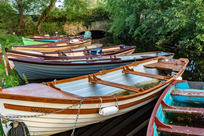 Picture of OLD WOODEN BOATS IN KILLARNEY NATIONAL PARK-IRELAND